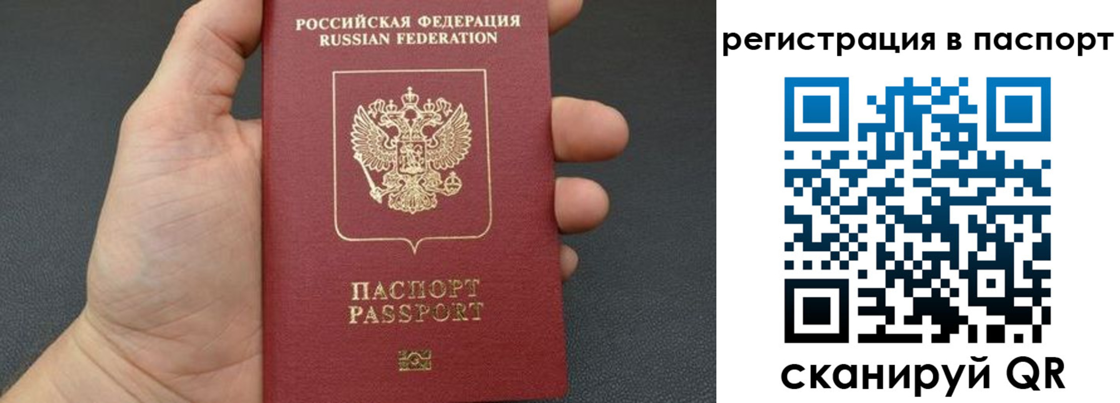 прописка 2025 в Подольске